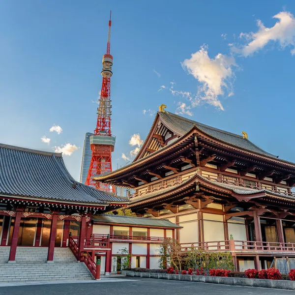 tokyo-600x600 tokyo-600x600